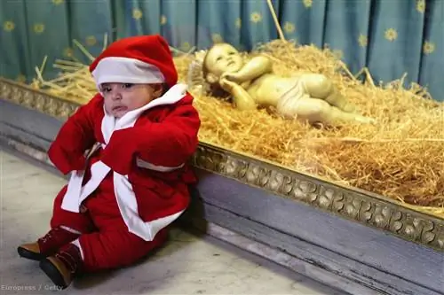 Проблема в стране игрушек: не кладите это под елку