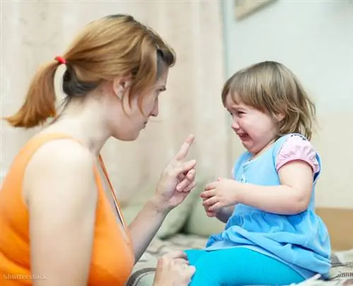 затвор 159885044 затвор 159885044