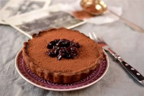 Опорожнение морозилки: шоколадно-каштановый пирог с вишней
