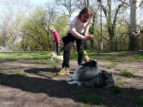 Громит слушает хот-доги