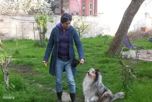 Также важно для домашней работы: кликер, стена вознаграждения, зрительный контакт