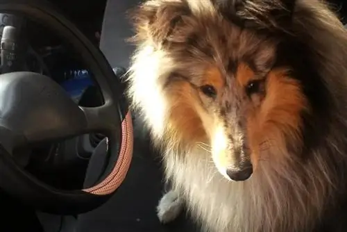 Так что не пропадайте