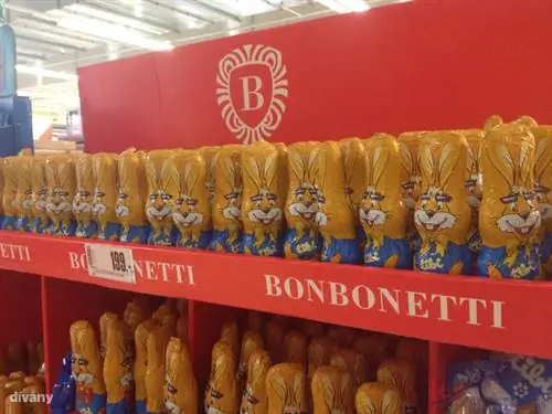 Сумасшедшие кролики в солнечных очках