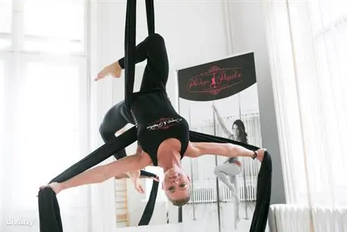 Вы могли бы легко выступать с ним в цирке