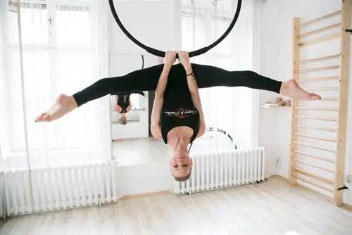 Тренажерный зал тоже может быть полным цирком