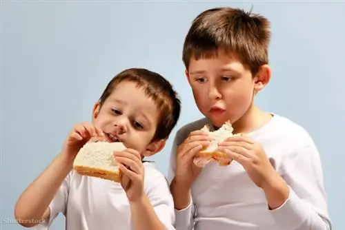 затвор 53579881