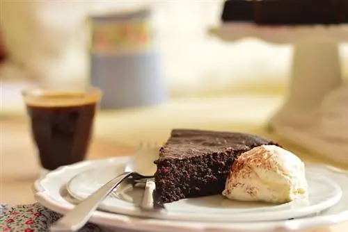 Хотите похудеть с шоколадным печеньем? Мы поможем