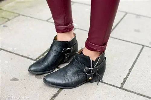 Вот так могут выглядеть носки