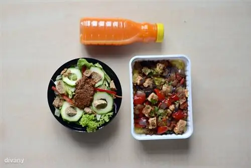 На обед был морковный сок, обычный салат и кубики тофу