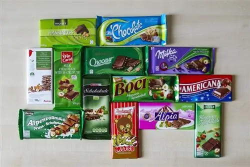 Тест: выбор шоколада с фундуком плачевен