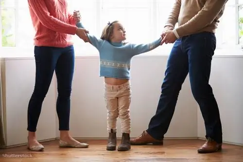 затвор 173523596