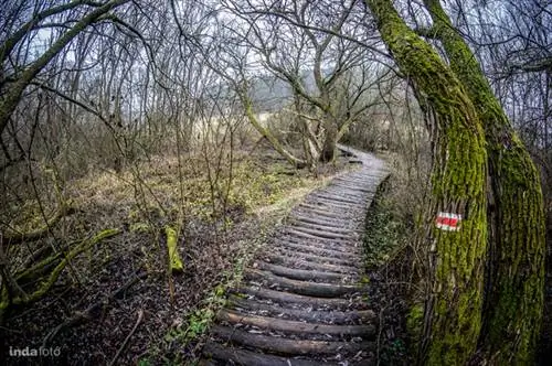 Образовательная тропа Гяда