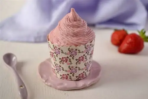 КлубникаFroYo2