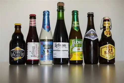 Тест бельгийского пива: даже самое худшее очень хорошее