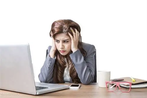 жалюзи 190242188