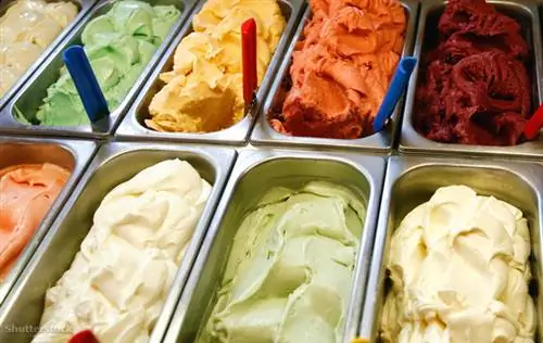 жалюзи 135519701