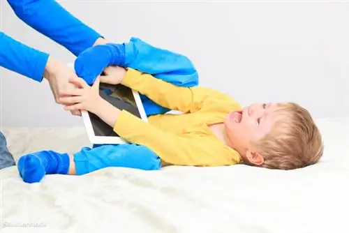 жалюзи 177100877