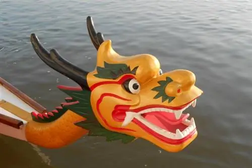 Мы летали по Дунаю на спине дракона