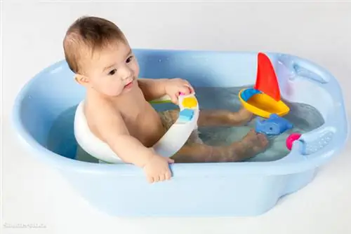 жалюзи 161549432