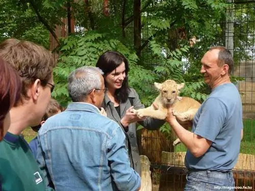 В контактном зоопарке MagánZoo в Абони вы можете поближе познакомиться с несколькими более мелкими животными