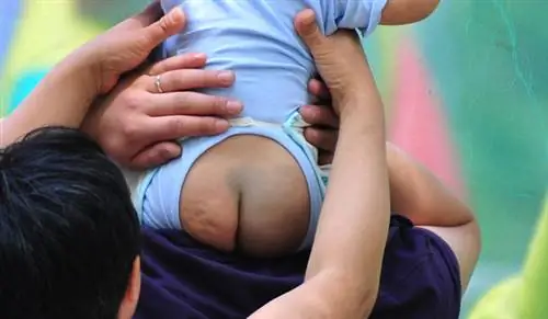 Так говорит мне госказначейство: Я восемь месяцев ждал ГАЭС