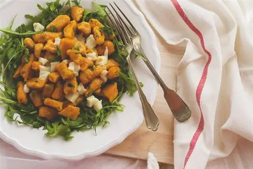 ДСК 3946 маленький