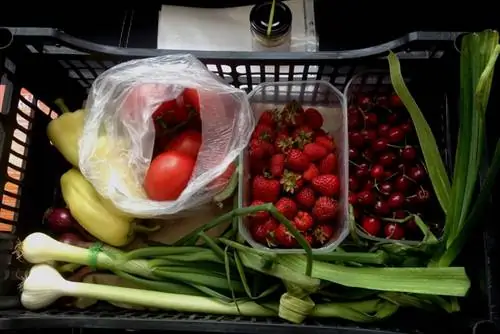 Вы можете легко заказать овощи и фрукты онлайн