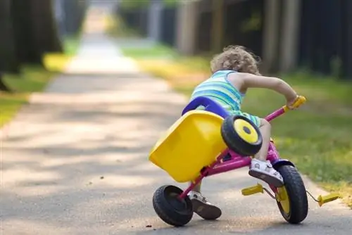 Ребенок упал на голову? Мы расскажем вам, когда паниковать