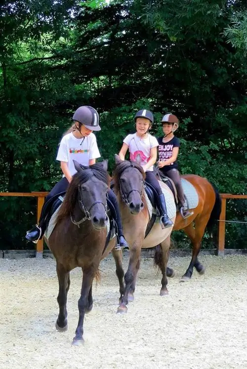 Детей приглашают в конный лагерь в Сепальмапустане