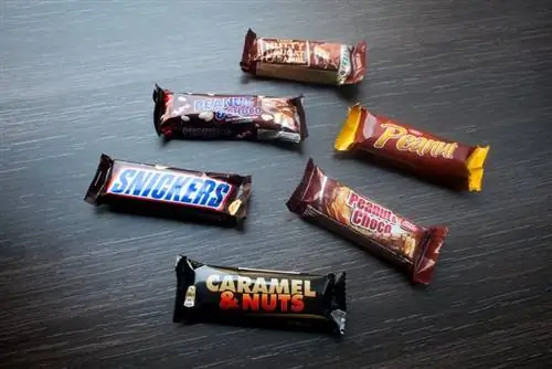 Тест: есть ли лучший подражатель, чем Snickers?