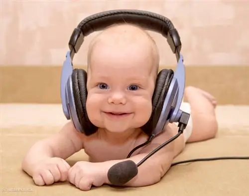 Затвор 111317846