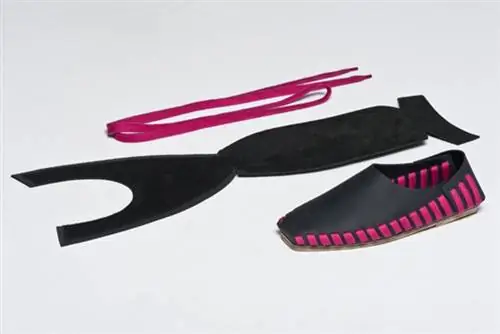 Они бросили деньги на туфли Сары Гуляш