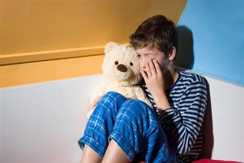 Мозг детей, подвергшихся жестокому обращению, постоянно меняется