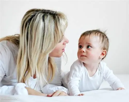 затвор 42520663