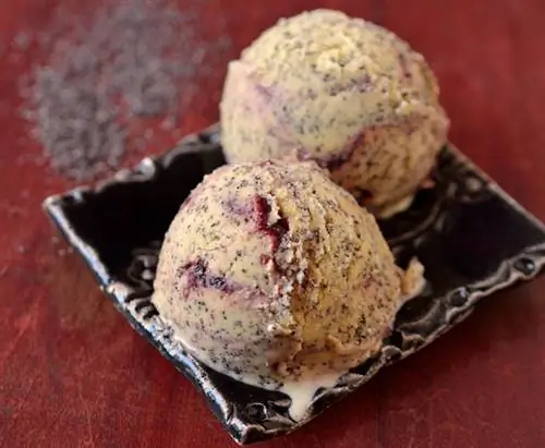 Вишневое маковое мороженое3