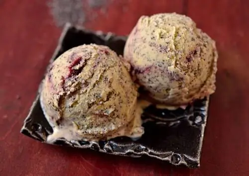 Вишневое маковое мороженое1