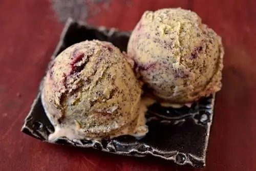 Вишнёво-маковое, вареное мороженое