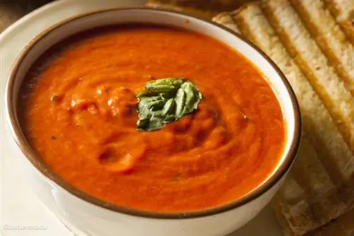 затвор 169625648