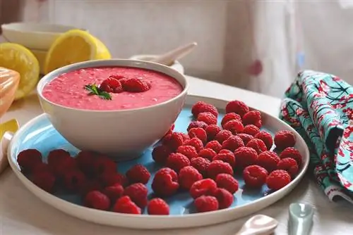 Четыре быстрых летних супа без варки