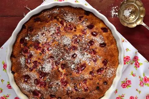 Малиновый творожный пирог1