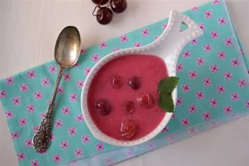 Хорошо охлажденный вишневый суп для горячего