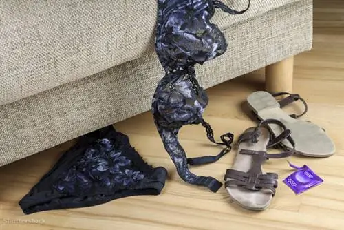 жалюзи 120394603