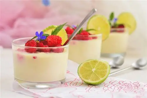 Охлаждающий мятный десерт: зеленая лимонная панакота