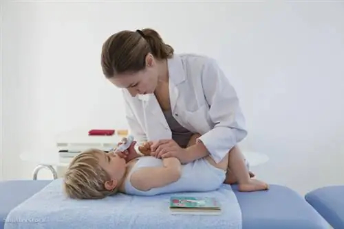 затвор 173835518