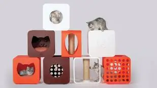 Дизайнерские домики для кошек, которые вы также можете пожертвовать на благотворительность