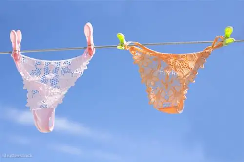 жалюзи 102964808