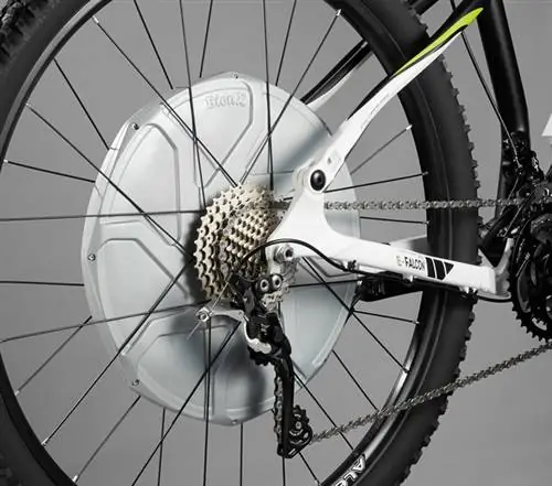 Фото: БионХ