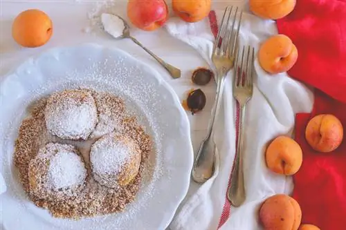 ДСК 6783 маленький