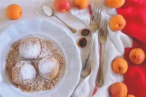 Пельмени с персиком (или сливой) просто, по-домашнему