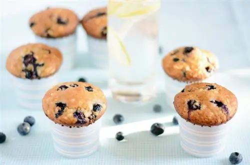 008 июня 2013 г